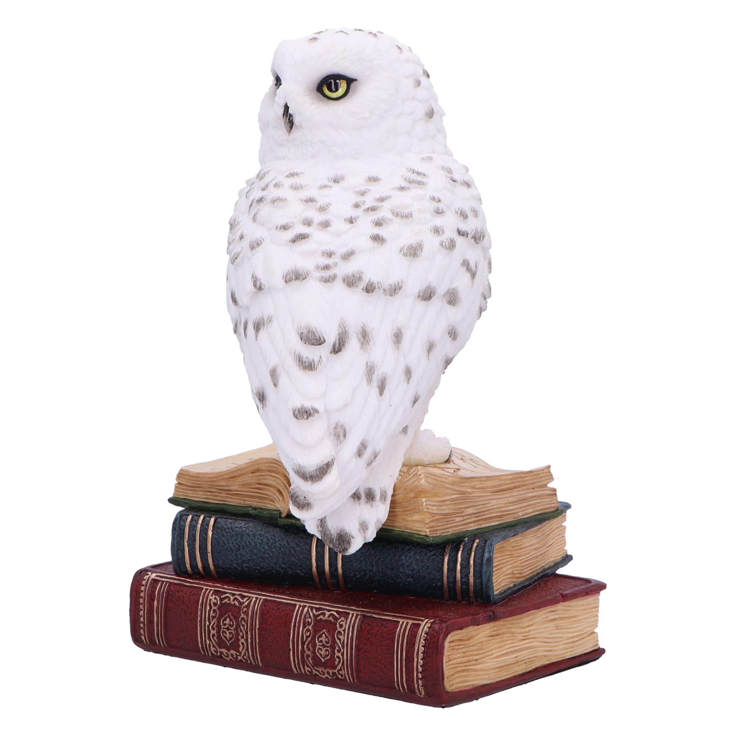 Nemesis Now Statuetta della Biblioteca della saggezza, 17 cm, in resina, bianca, gufo bianco su libri, ornamento per libri fantasy, espositore per libri, colata nella migliore resina, sapientemente