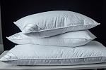Goose Down Feather Oreillers doux Un oreiller 100% Cotton supportive lit bande d'oreiller blanc Couleur Taille Reine 20x30 de pouce