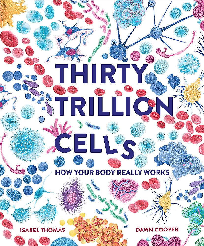 Thirty Trillion Cells: How Your Body Really Works