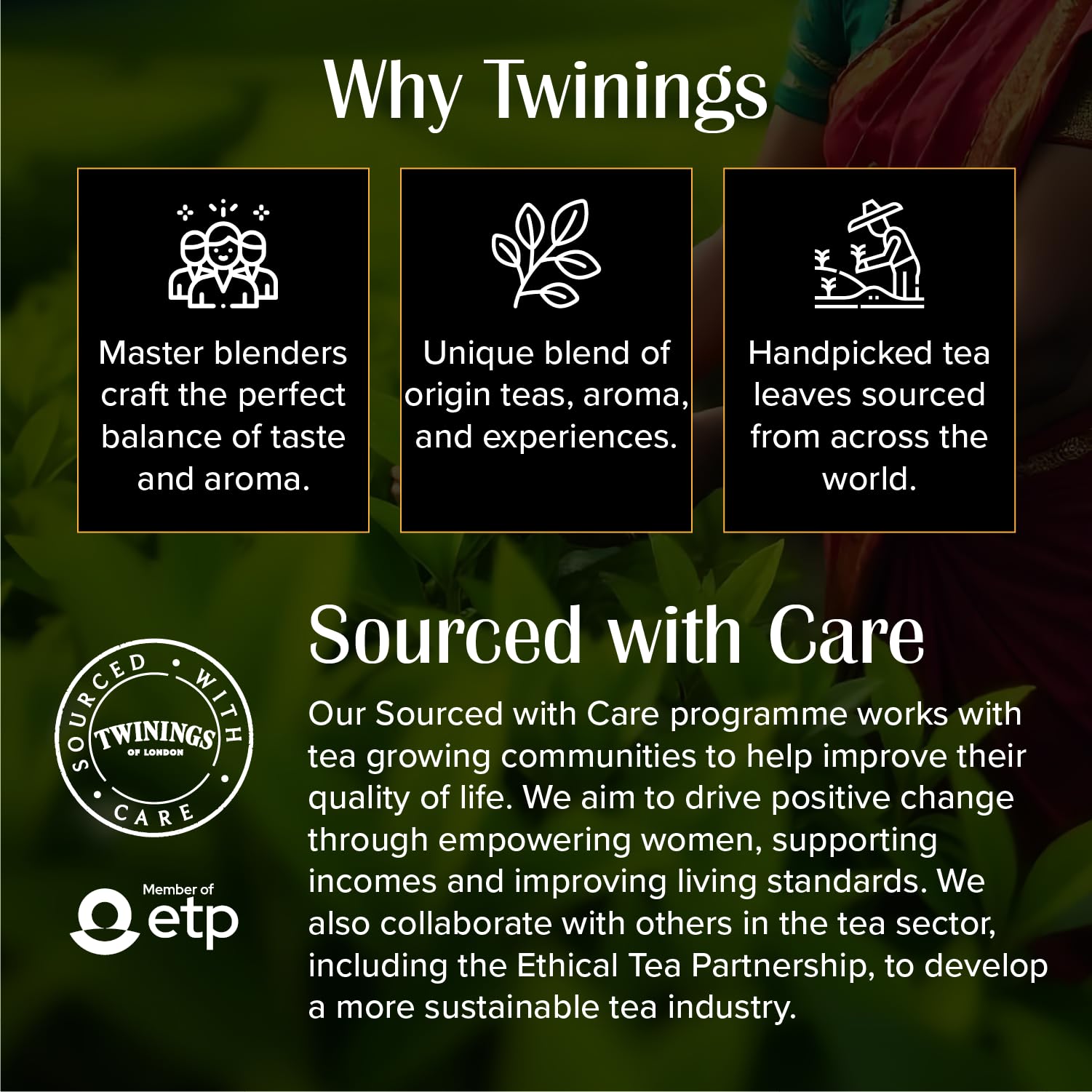 Twinings Assam Second Flush CTC Tea, 250g | Pack of 1 | 100% Assam Tea | Strong Flavour Strength | For Malty, Robust Flavour | No Added Colour - Image 5 thumbnail