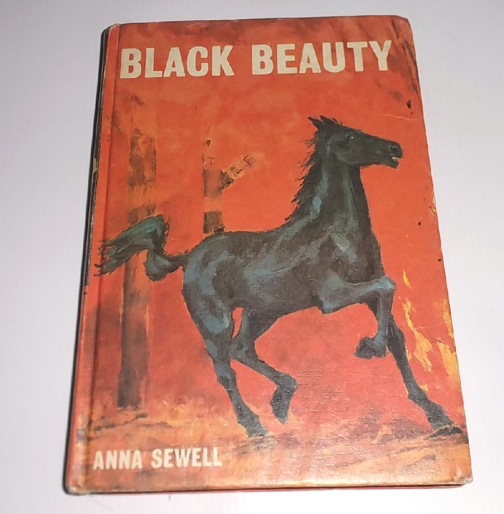 BLACK BEAUTY