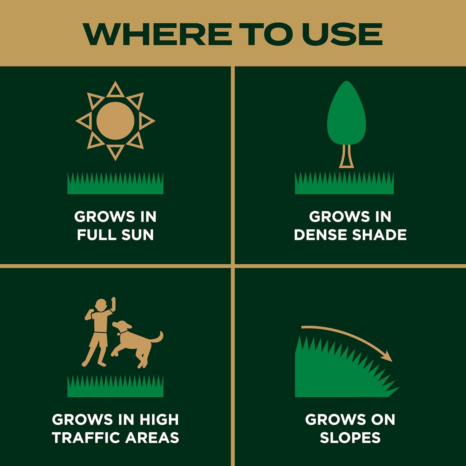 Scotts EZ Seed Patch & Repair Southern Gold Blend for Tall Fescue Lawns - Mulch, Grass Seed, Lawn Fertilizer for Bare Spots, Covers Up to 225 sq. ft., 10 lb.