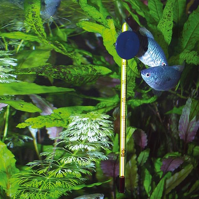 Foto 4 de 6 de JBL Aquarium Slim - Termometro Premium, 1 unidad