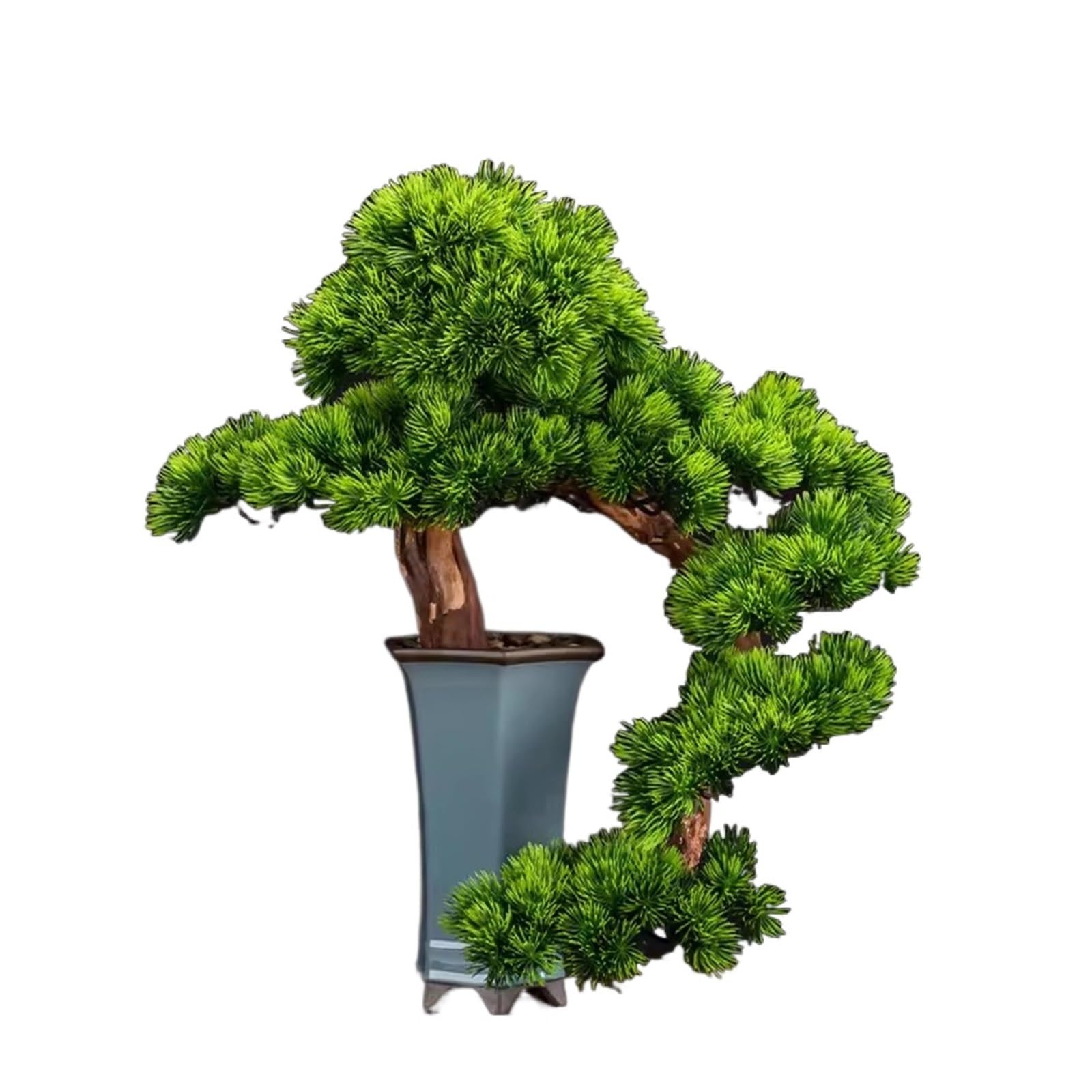 HCZKIUJY Artificial Bonsai Tree Artificial Bonsai Simulation Pine Tree Bonsai Plant Decorations Entrance and Living Room Decoration Decorations Fake Plant Decoration (B)