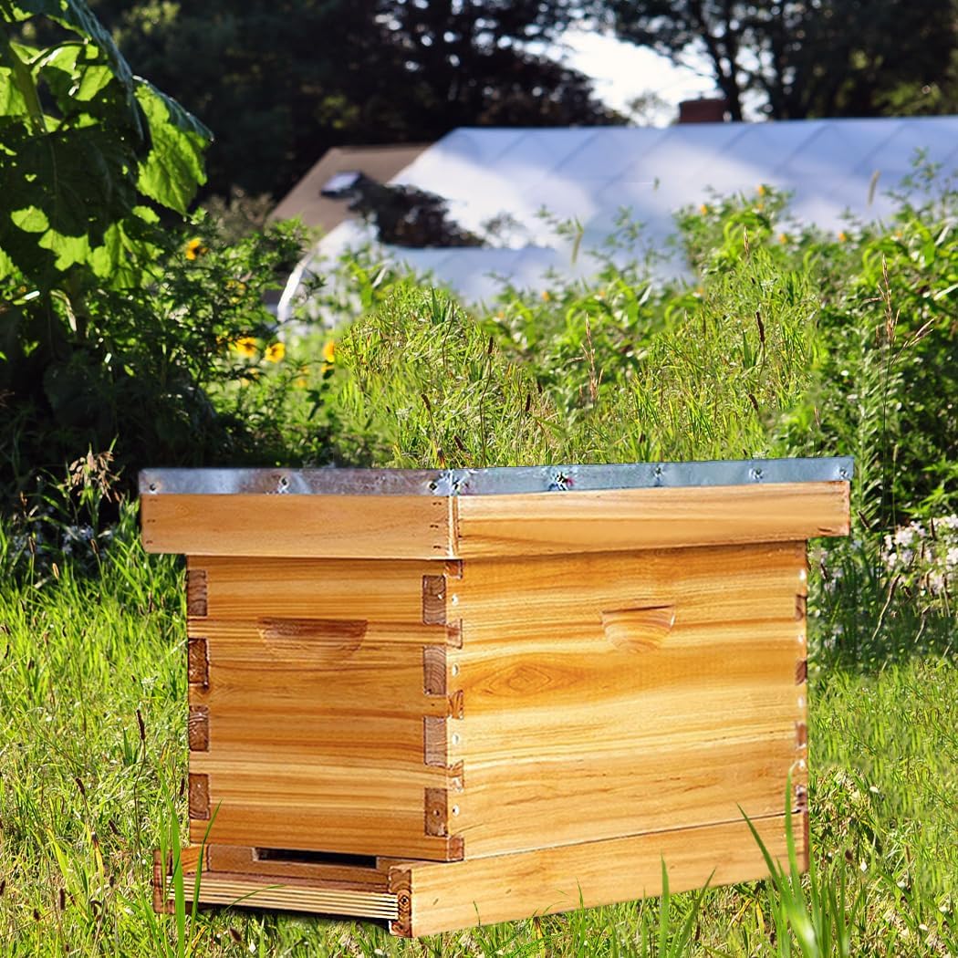 5 Frame Nuc Complete Bee Hive Kit Langstroth Beehive Box Dipped in Beeswax Include Beehive Frames and Waxed Foundation Sheets