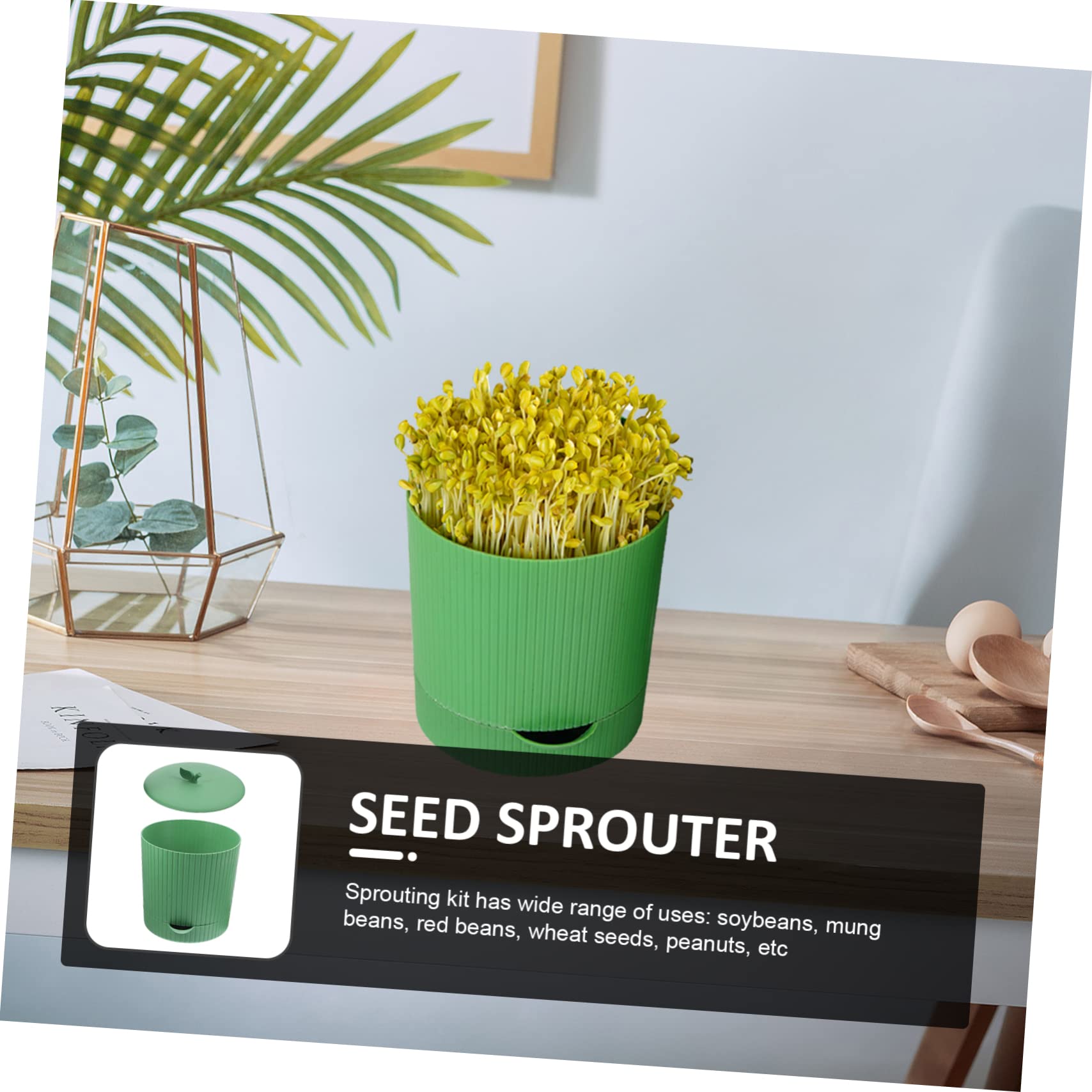 POPETPOP Kit de Germination pour Haricots Mungo et Soja, Bocal à Germes Vert Réutilisable en PP Sortie D’Eau, pour Maison ou Restaurant
