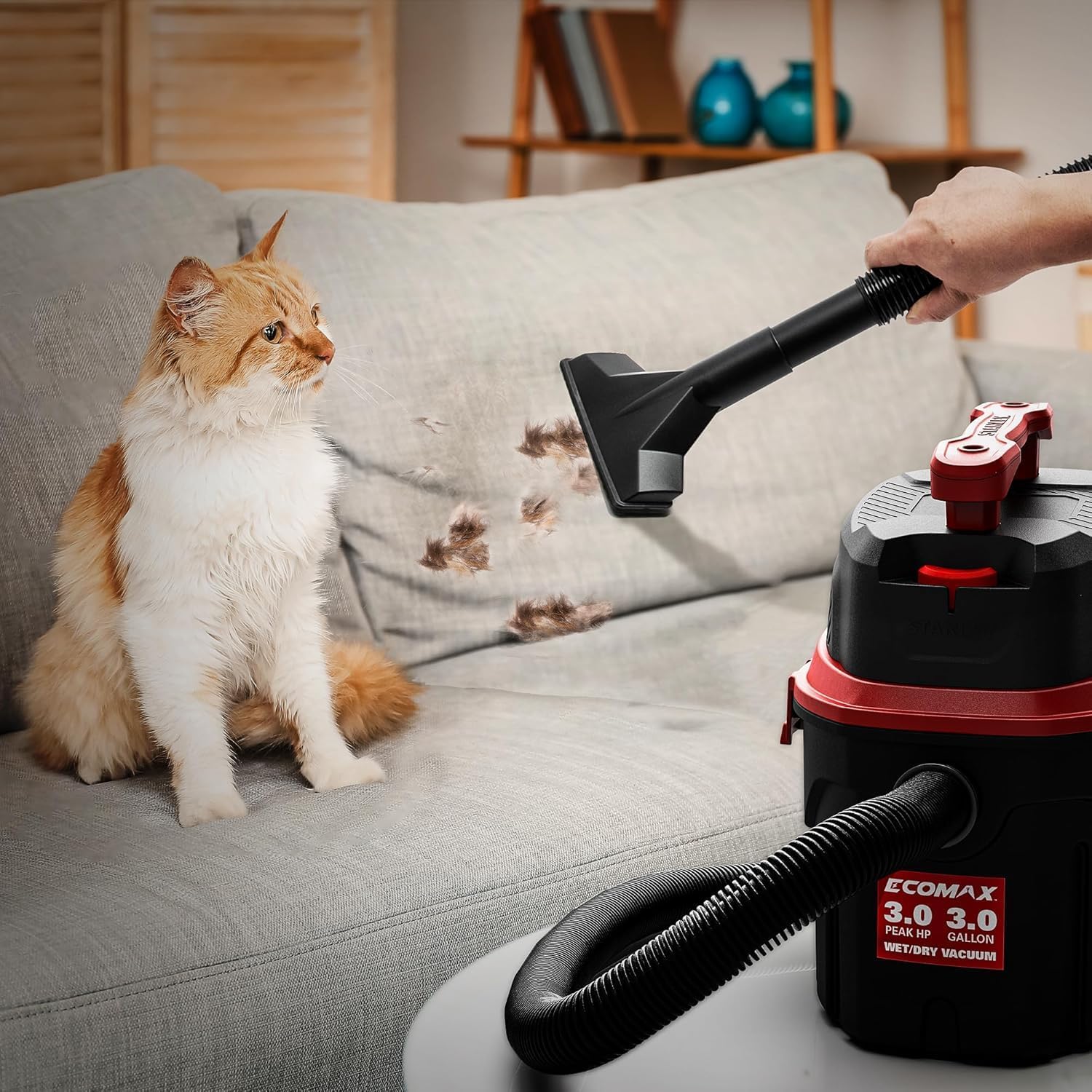 DEWALT Ecomax Small Shop Vacuum Wet/Dry 3 Gallon, 3 Peak HP, Small Shop Wet Dry Vac with Accessories, 3-in-1 Mini Shop Vacuum with Blower Function for Home, Car Detailing, Workshop, EM18910P-3