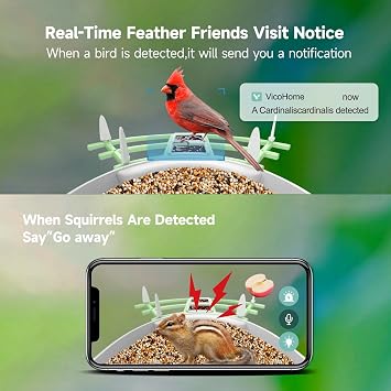 Smart Bird Feeder with Camera, Solar-Powered AI Identifies Species, 2K HD Video Auto-Capture Live for Outdoor Backyard Ideal Gift for Family Bird Lovers (Green)