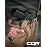 CQR Tactical Belt, Military Style Heavy Duty Belt, Webbing EDC Quick-Release Buckle, Flex Poly Green, XX-Large
