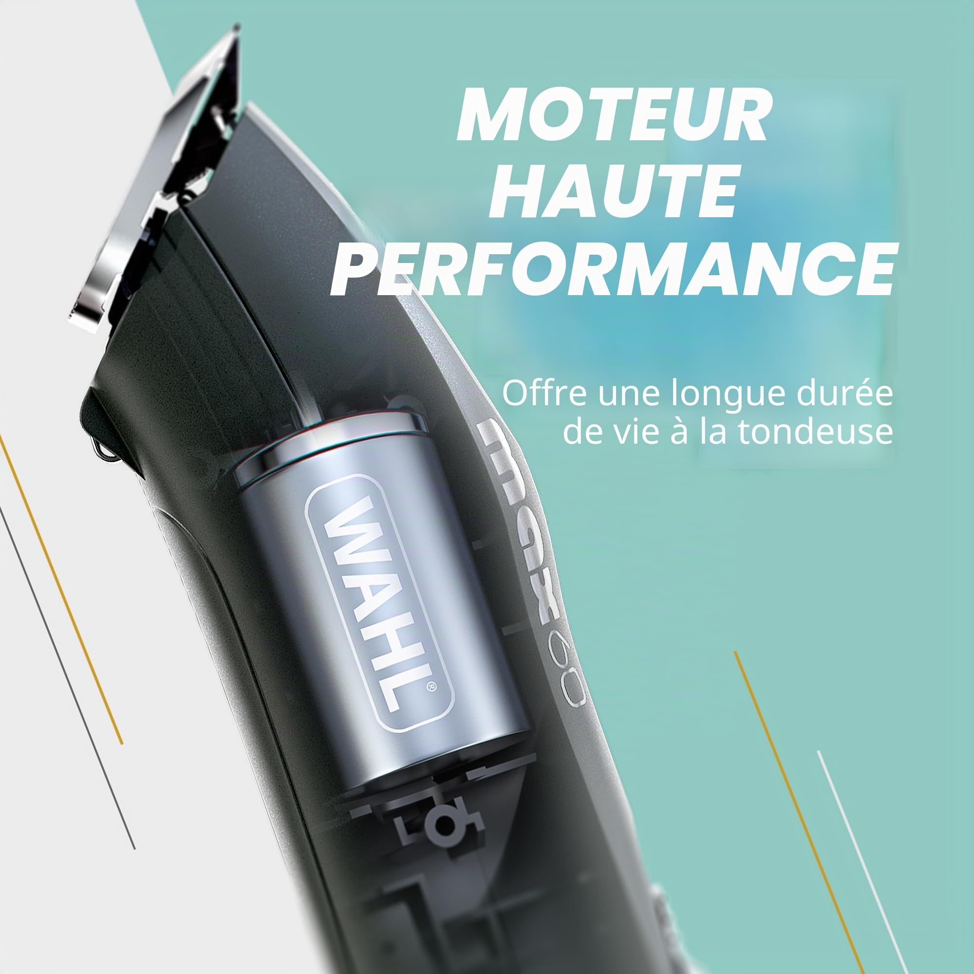 Max 60 Outil de toilettage professionnel pour animaux de compagnie – Tondeuse pour chiens et chats, faible vibration, légère