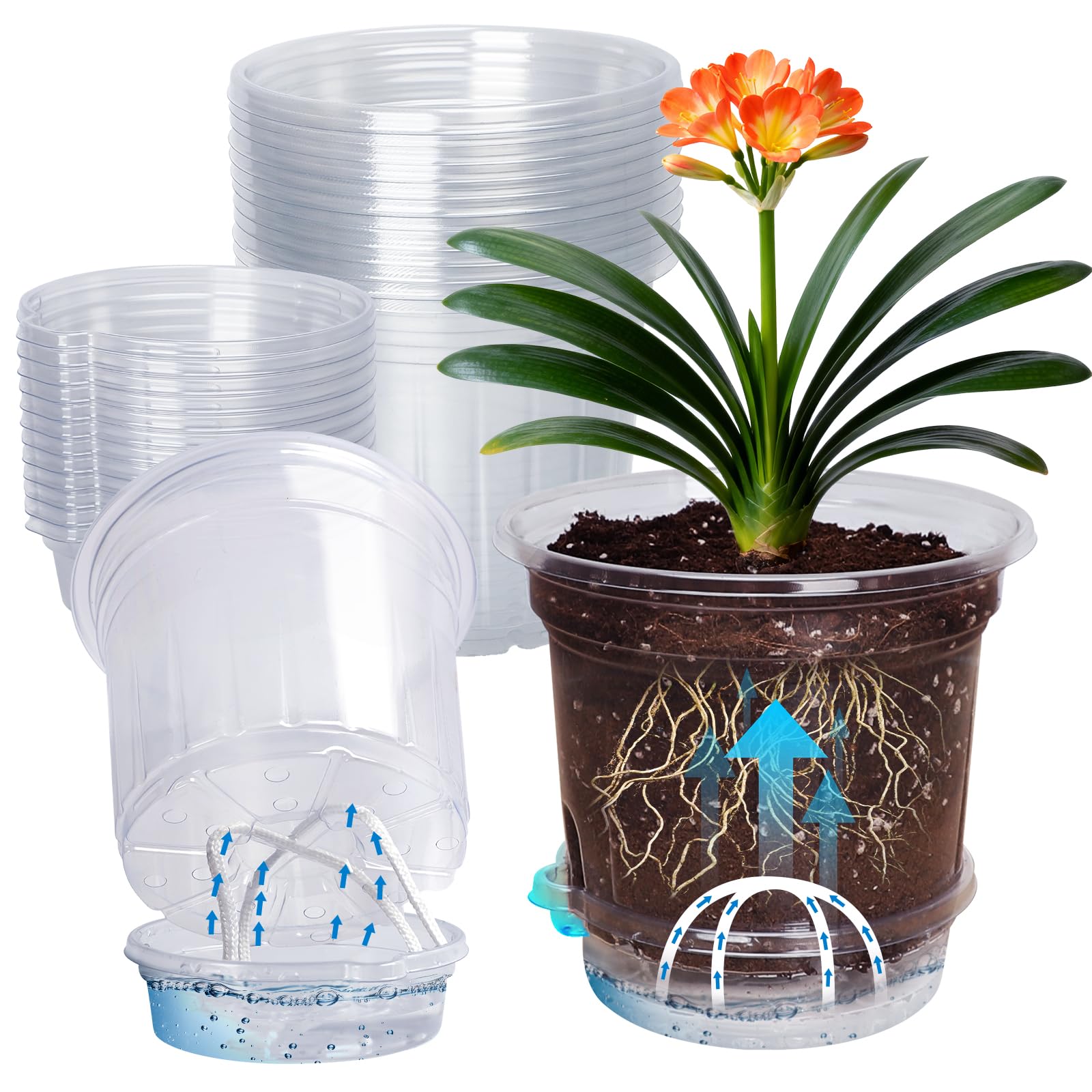 MIXC 12 Pack 6.5 Inch Self Watering Pots