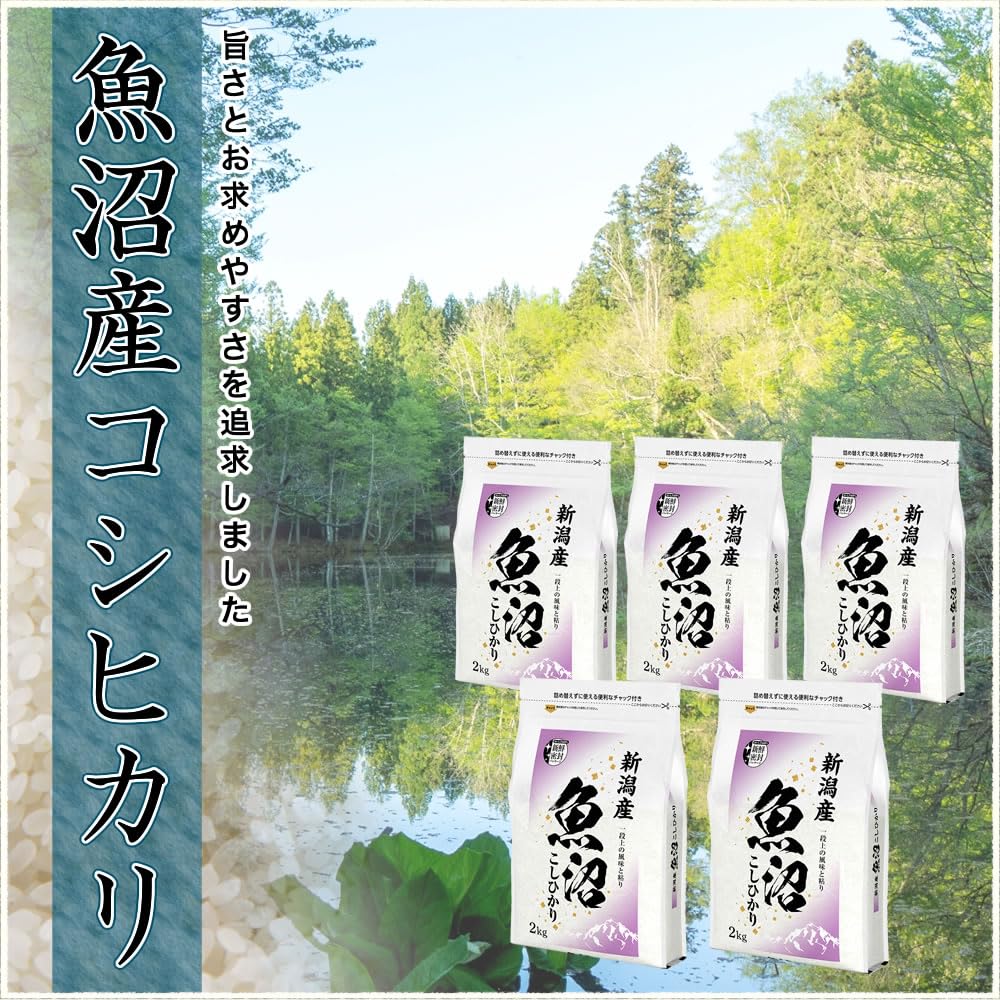 令和6年 魚沼産コシヒカリ10kg (5kg×2袋)白米 令和6年産】田中米穀 魚沼産コシヒカリ 10kg(5kg×2袋)｜うさ