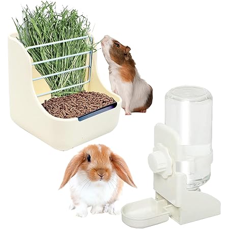 rabbit water bottle petbarn