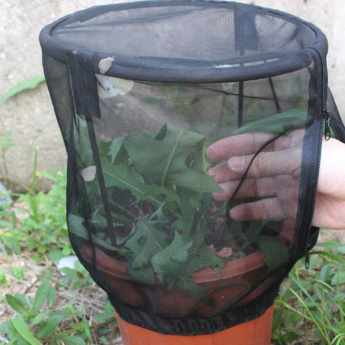 KUANDARM Respirable Butterfly Habitat Collapsible Bug Catcher Net Mesh Insectos Jaula de Plantas Terrario Pop-up para niños Atrapar grillos/ Luciérnaga/Mariquita potenciar, S