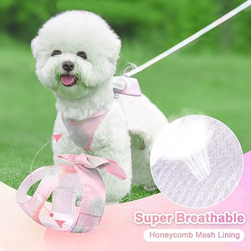 Miniatura 10 de PETCARE Bonito juego de arnés y correa para perro con pajarita y elegante arnés de arcoíris degradado para cachorros, sin tirones, malla suave,