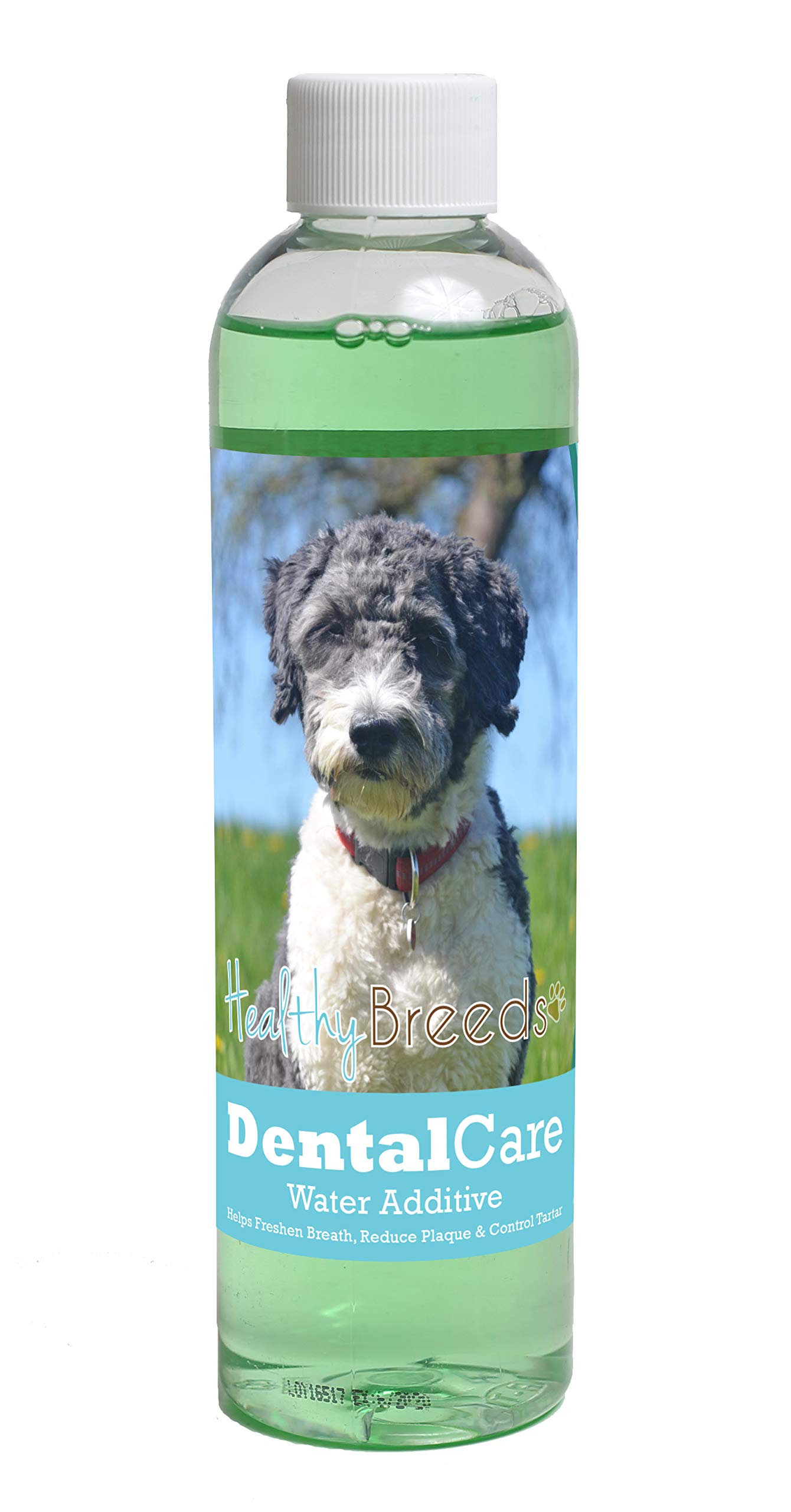 Healthy Breeds Dog Dental Care Water Additive for Aussiedoodle - Helps Freshen Breath, Reduce Plaque &amp; Control Tartar - Mint Flavor - 8 oz