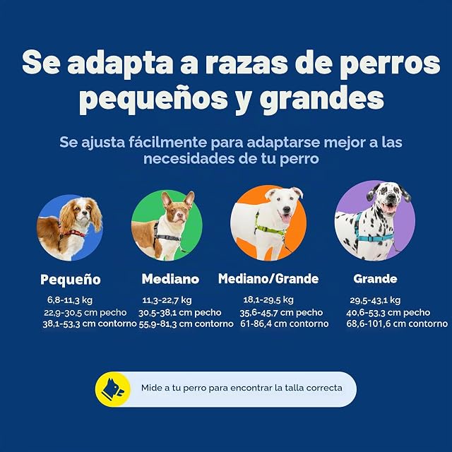 Foto 6 de 8 de PetSafe Dog Harness Deluxe Easy Walk-Arnés pequeño, Color Verde Manzana, Nailon, Small (Pack of 1)