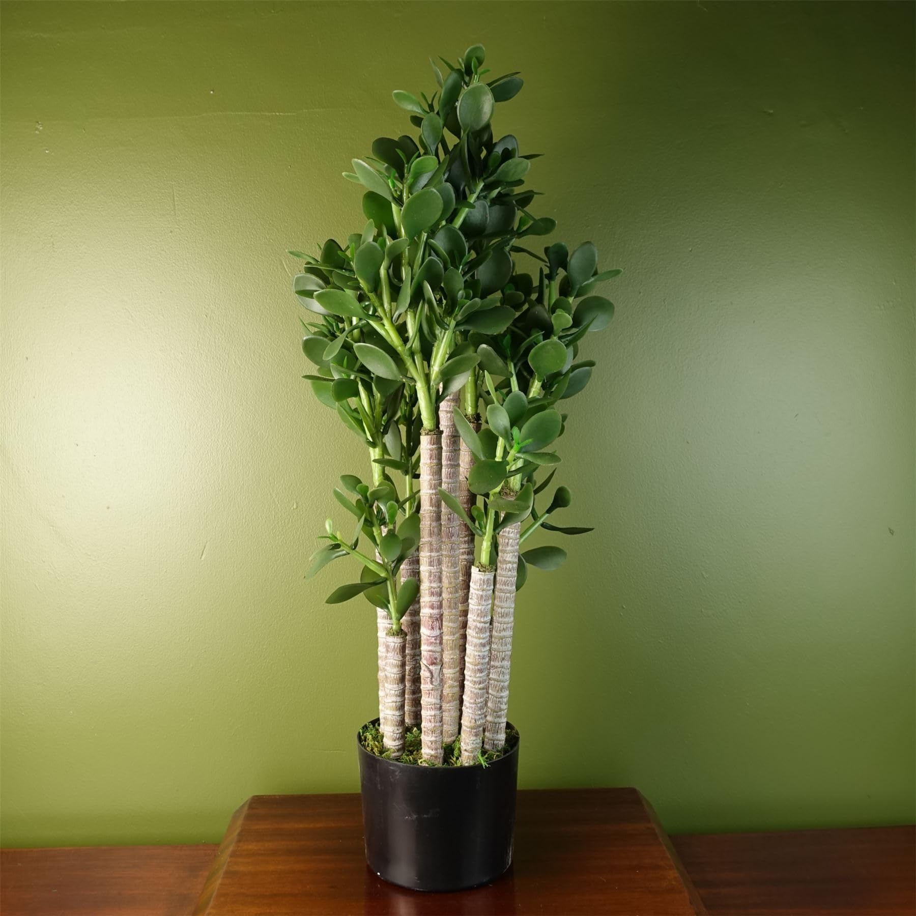 Artificial Jade Plant - Large Shrub - 75cm Tall - Green - Botanik