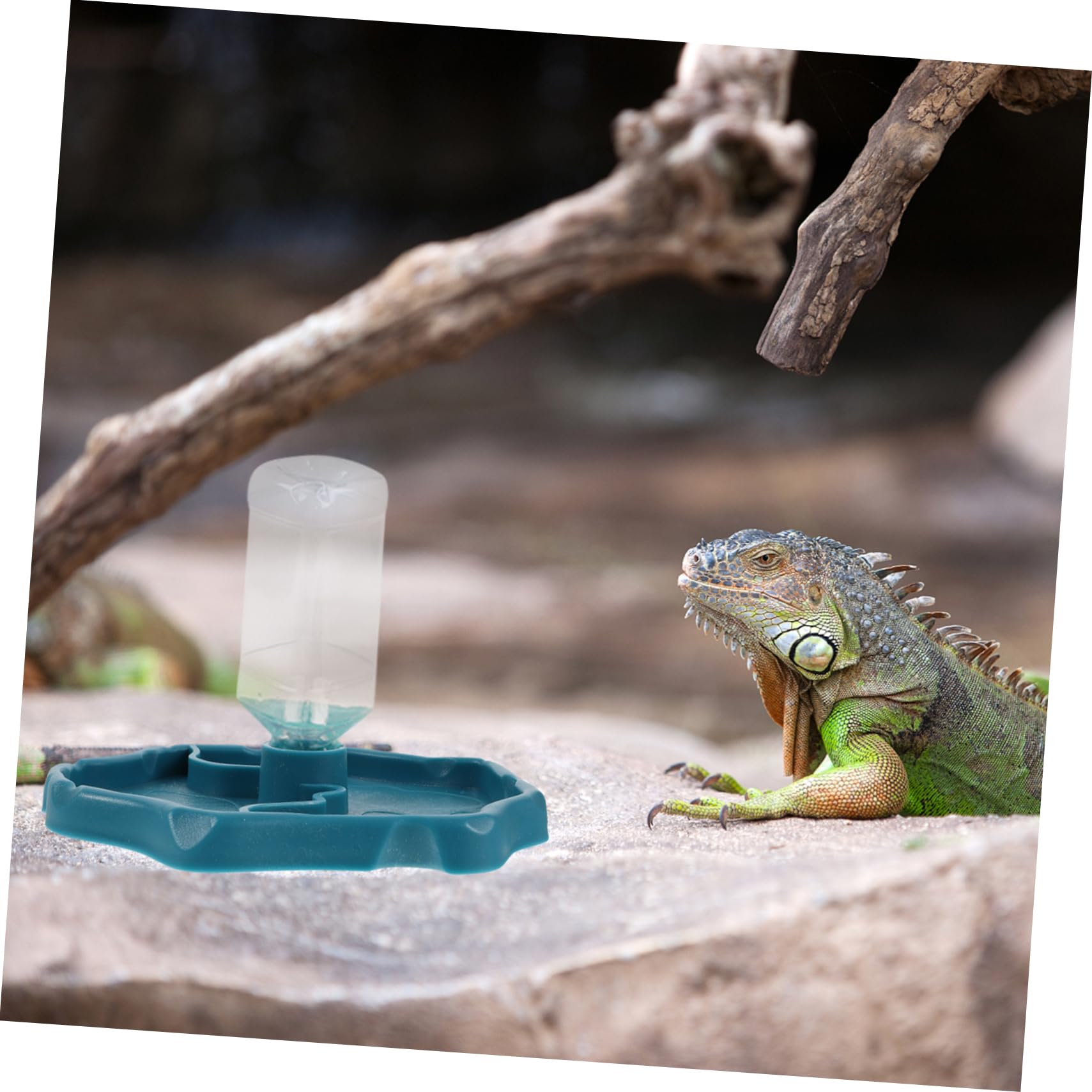 SEWOART Automatic Water Feeder for Bearded Dragon Turtle Reptile Pet Fountain 2-in-1 Water Bowl and Food Plate