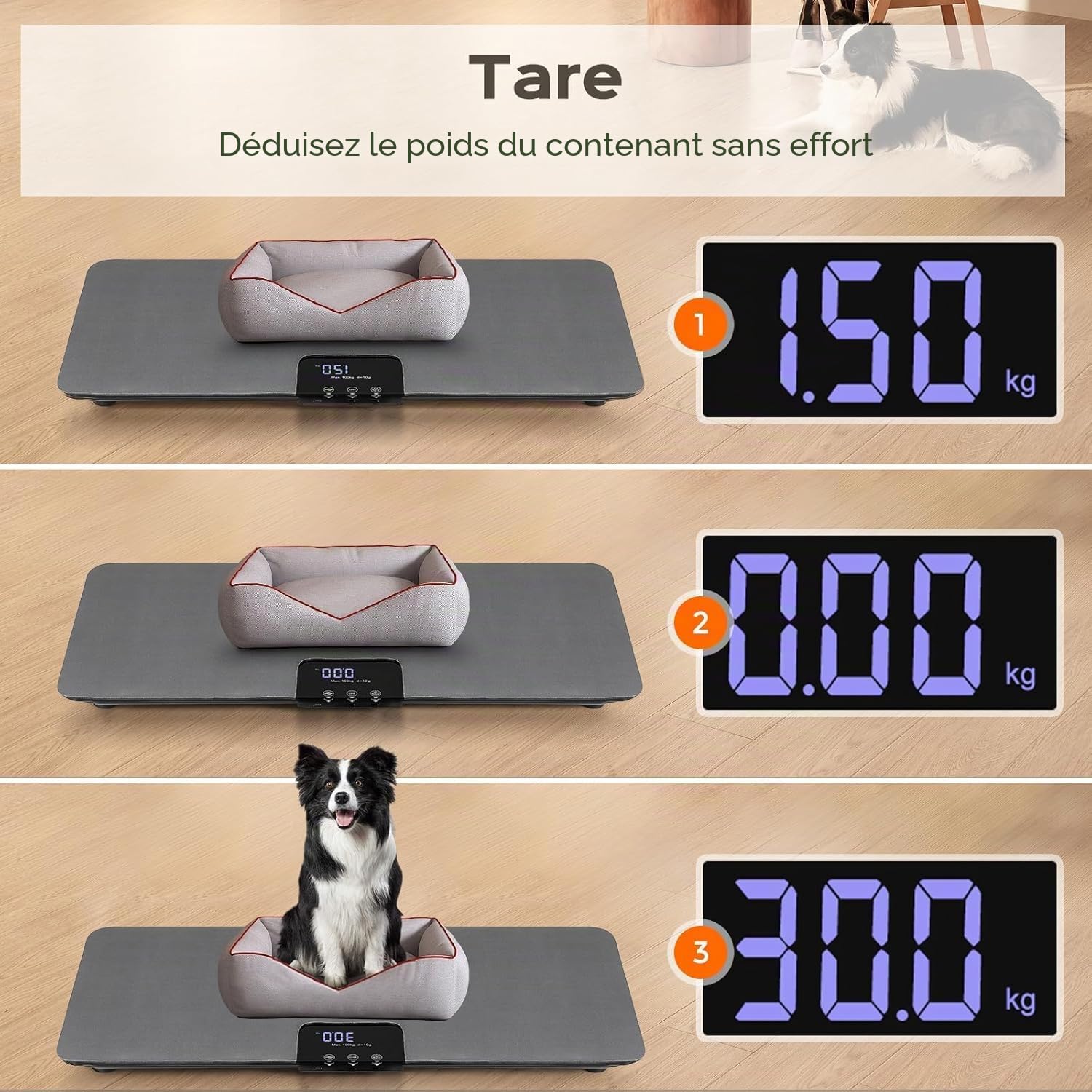 Bonvoisin Balance Animale Numérique jusqu'à 100 kg, Balance pour Chats et Chiens avec Précision 10 g & 3 Modes (kg/lb/st) – Grande Tapis Caoutchouc 68x33 cm, écran LCD, Fonction Hold, Recharge USB-C