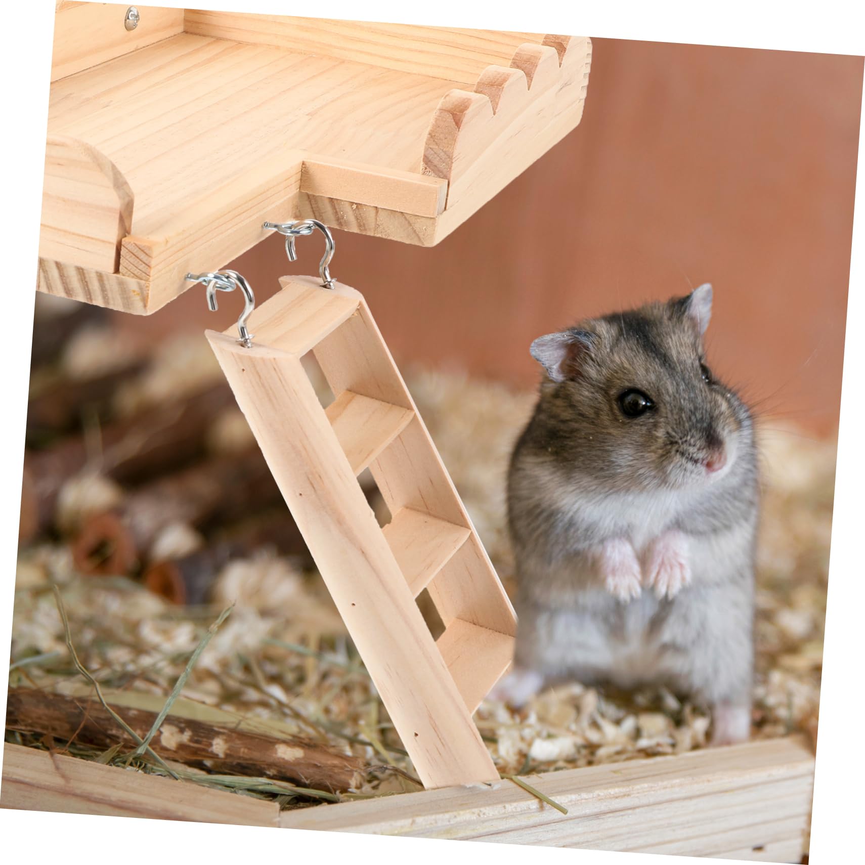 Toddmomy Hamsterplattform mit Kletterleiter Spielzeug für Kleintierkäfige Beißsichere Dekoration für Hamster und Rennmäuse