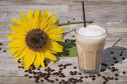 Miniatura 6 de Paquete de 150 pajitas de papel negro biodegradables  Pajitas negras desechables  Palitos negros para pasteles en cumpleaños, aniversario, boda,