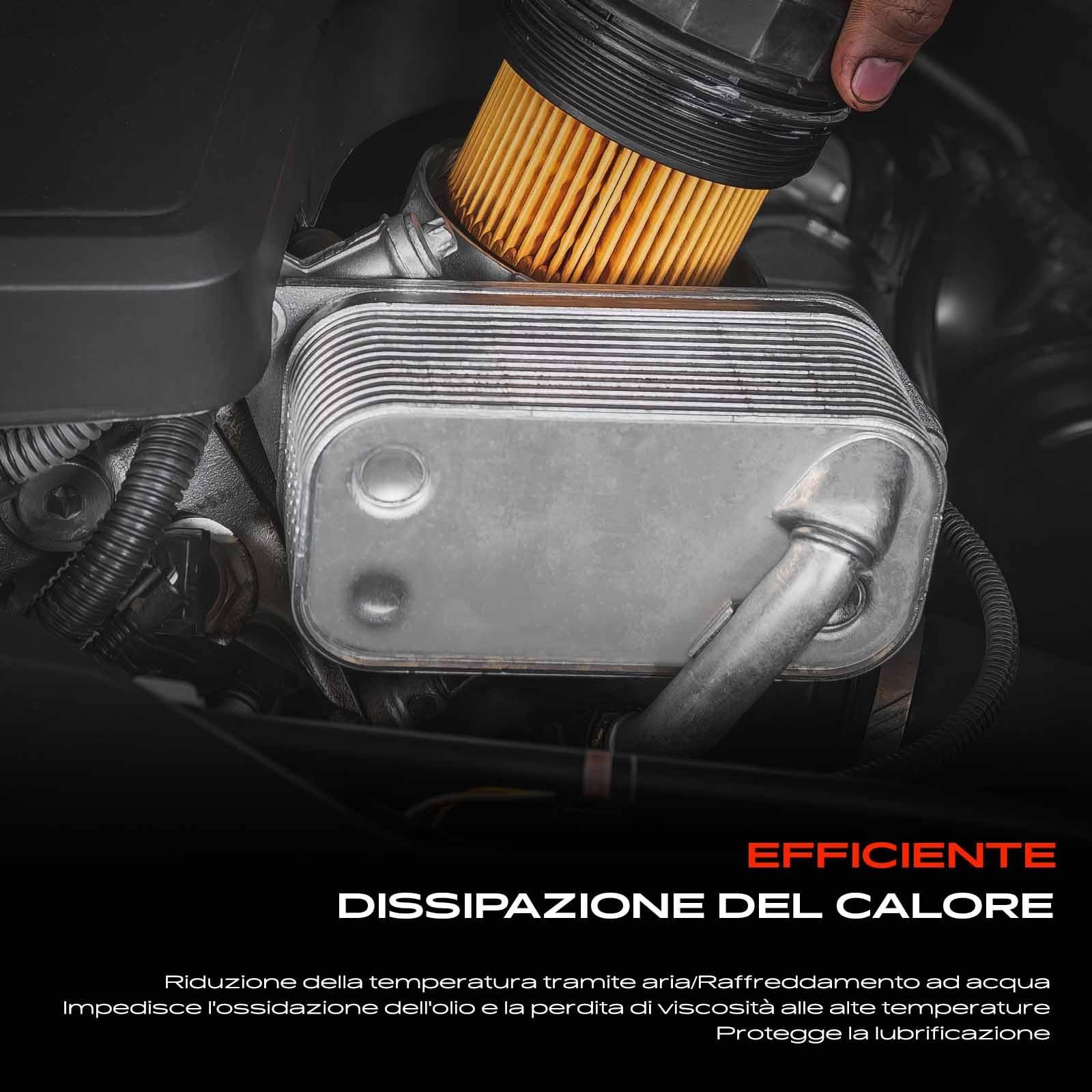 Frankberg Radiatore dell'olio Compatibile con 4 Coupé G22 G82 M4 CSL Serie 3 Touring G21 G81 M3 Competition xDrive Serie 3 G20 G28 G80 M3 Serie 3 G20 G28 G80 M3 Competition 17118095293