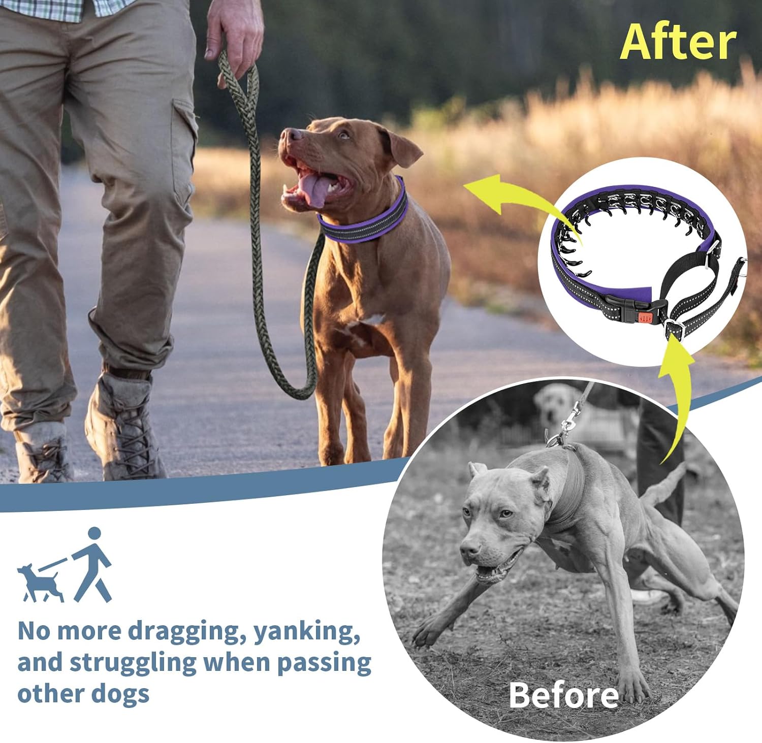 Mayerzon Martingale No Pull Collar for Medium Large Dogs, Patented Anti Pull Dog Collar with Buckle for Walking Training, with Neoprene Padding and Reflective Stitching, Adjustable(Purple, S)