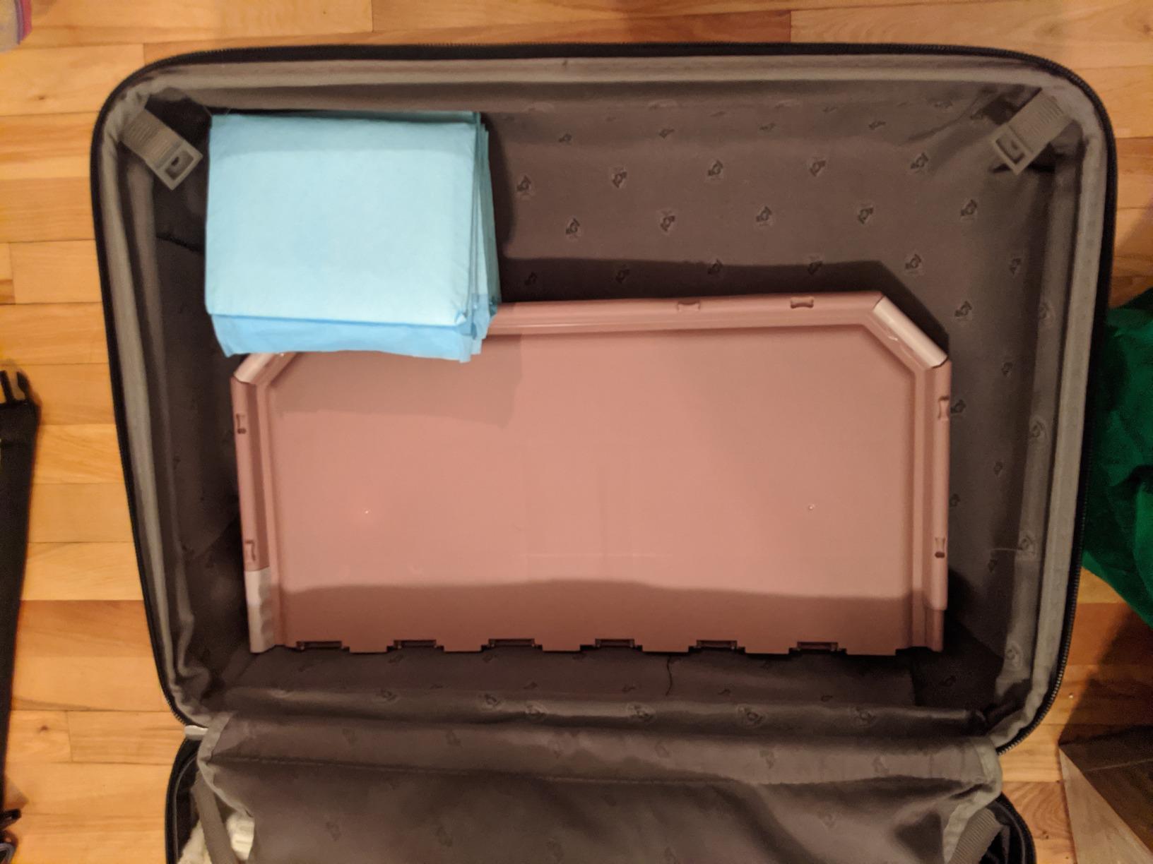 OUT! Dog Pad Holder Portable Tray for Pet Training and Puppy Pads