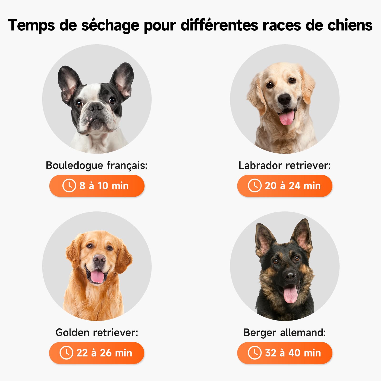 Séchoir chien 2200W, ions négatifs | 4 moteurs, 110 000 tr/min, 3 vitesses/4 températures, 3 buses, anti-surchauffe