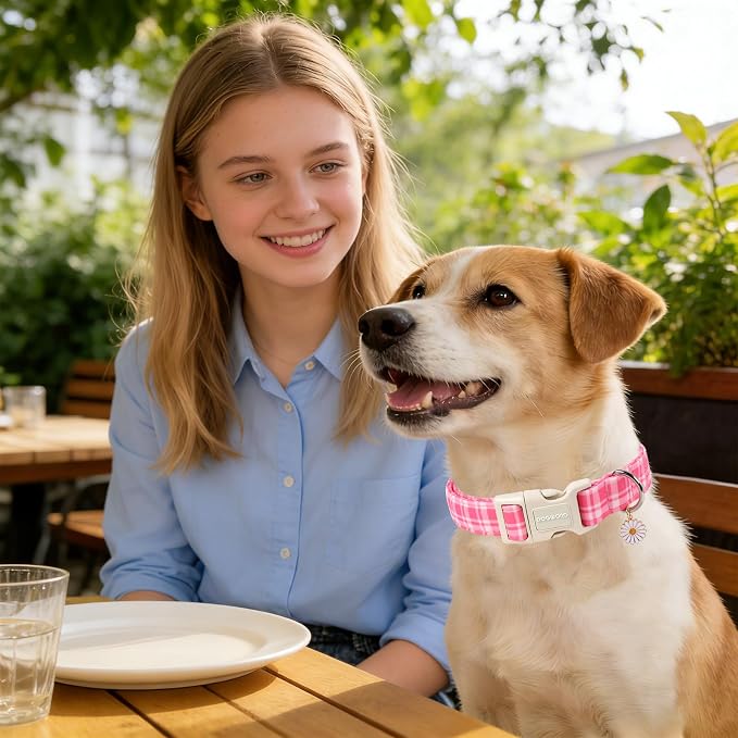 Collar para perros rosa a cuadros, ajustable, talla S miniatura 4