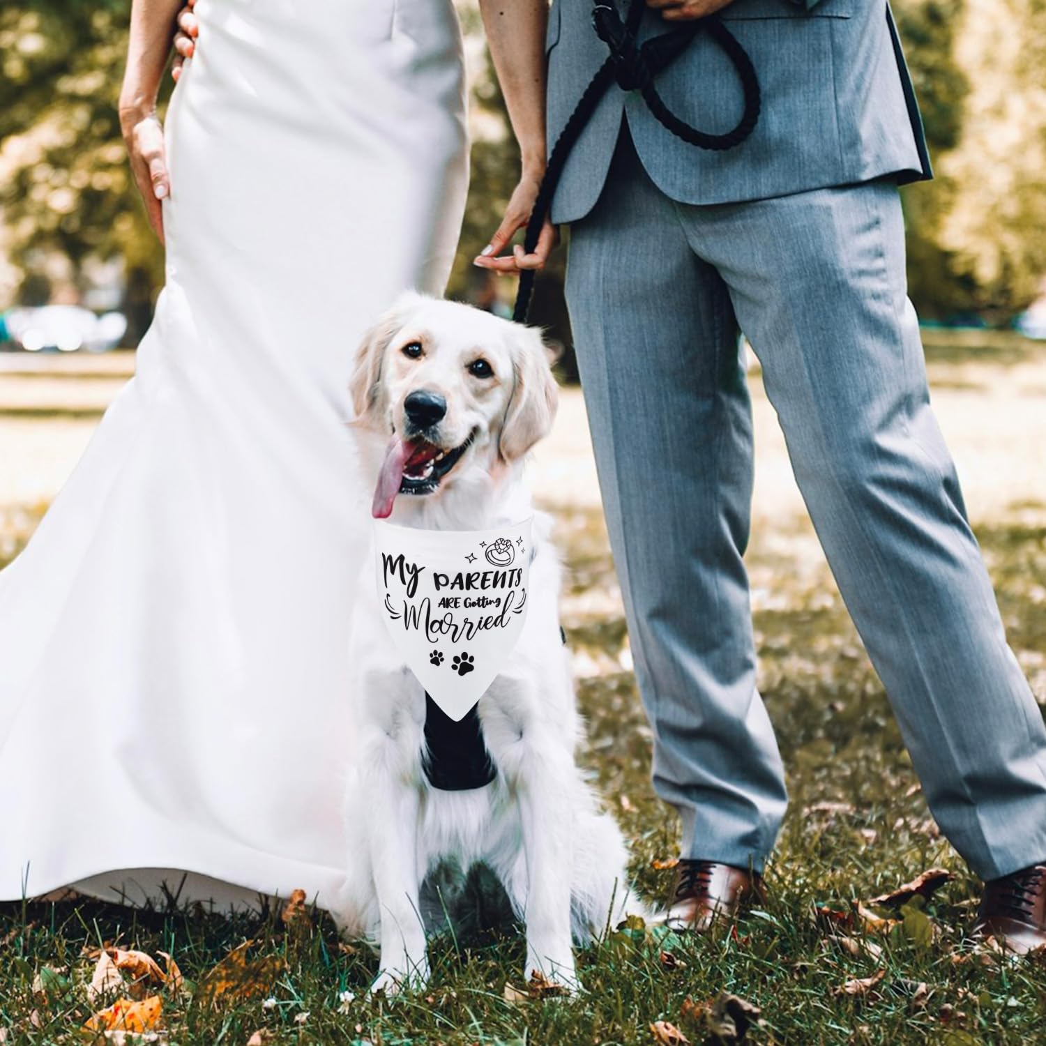 2 Morceaux de Bandanas pour Chien de Mariage, Mes Parents se Marient Bandana pour Chien Accessoires pour Chien de Mariage en Polyester Doux pour la Décoration de Chien de Mariage