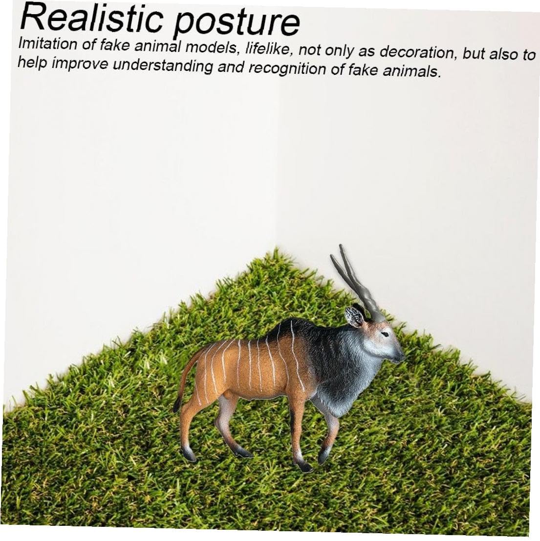 南信州産 ニホンジカ頭骨➕角セット 【公式通販】