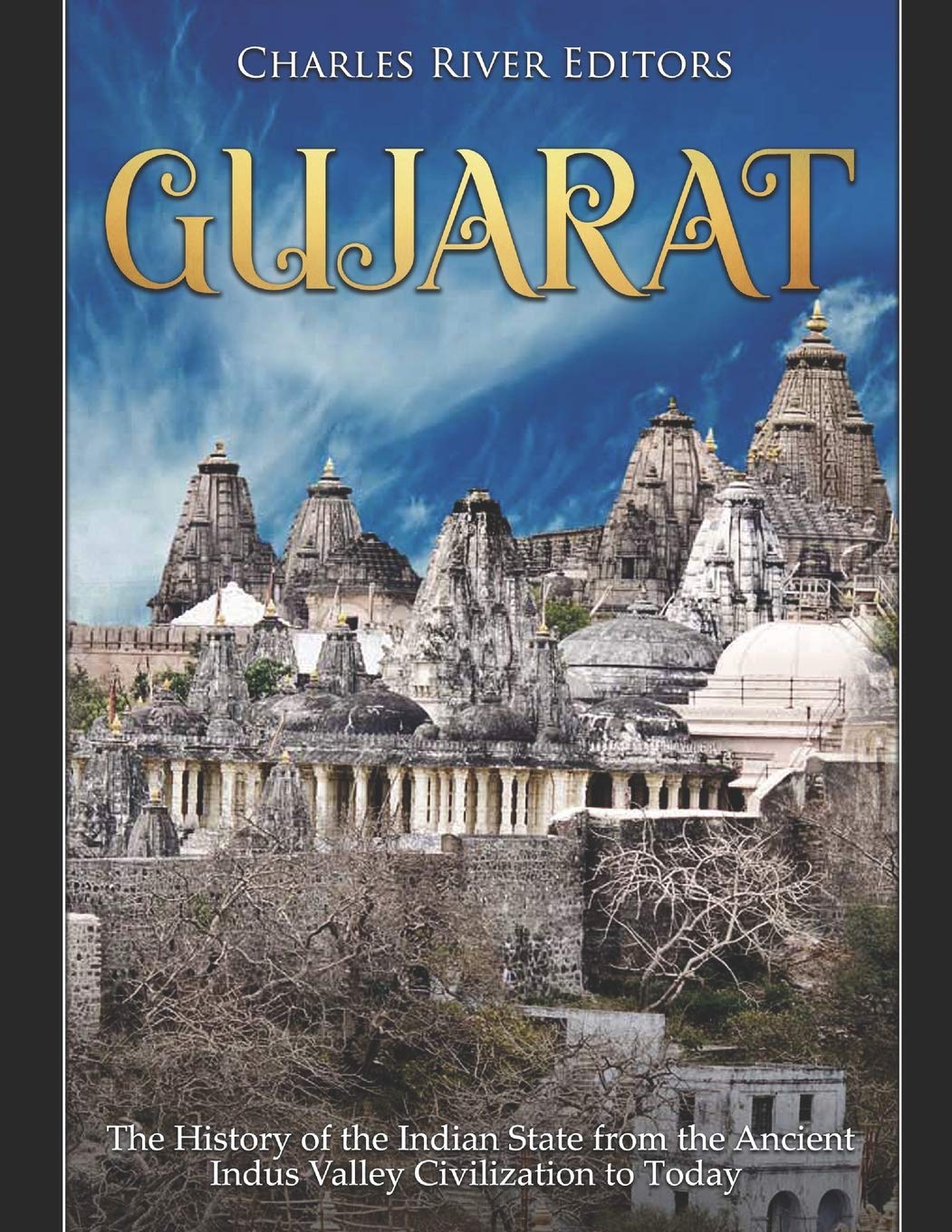 Buy Gujarat The History of the Indian State from the Ancient Indus