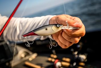 Berkley Flicker Shad Fishing Lure, Rainbow Trout, 5/16 oz, 2 3/4in | 7cm Crankbaits, Size, Profile and Dive Depth Imitates Real Shad, Equipped with Fusion19 Hook