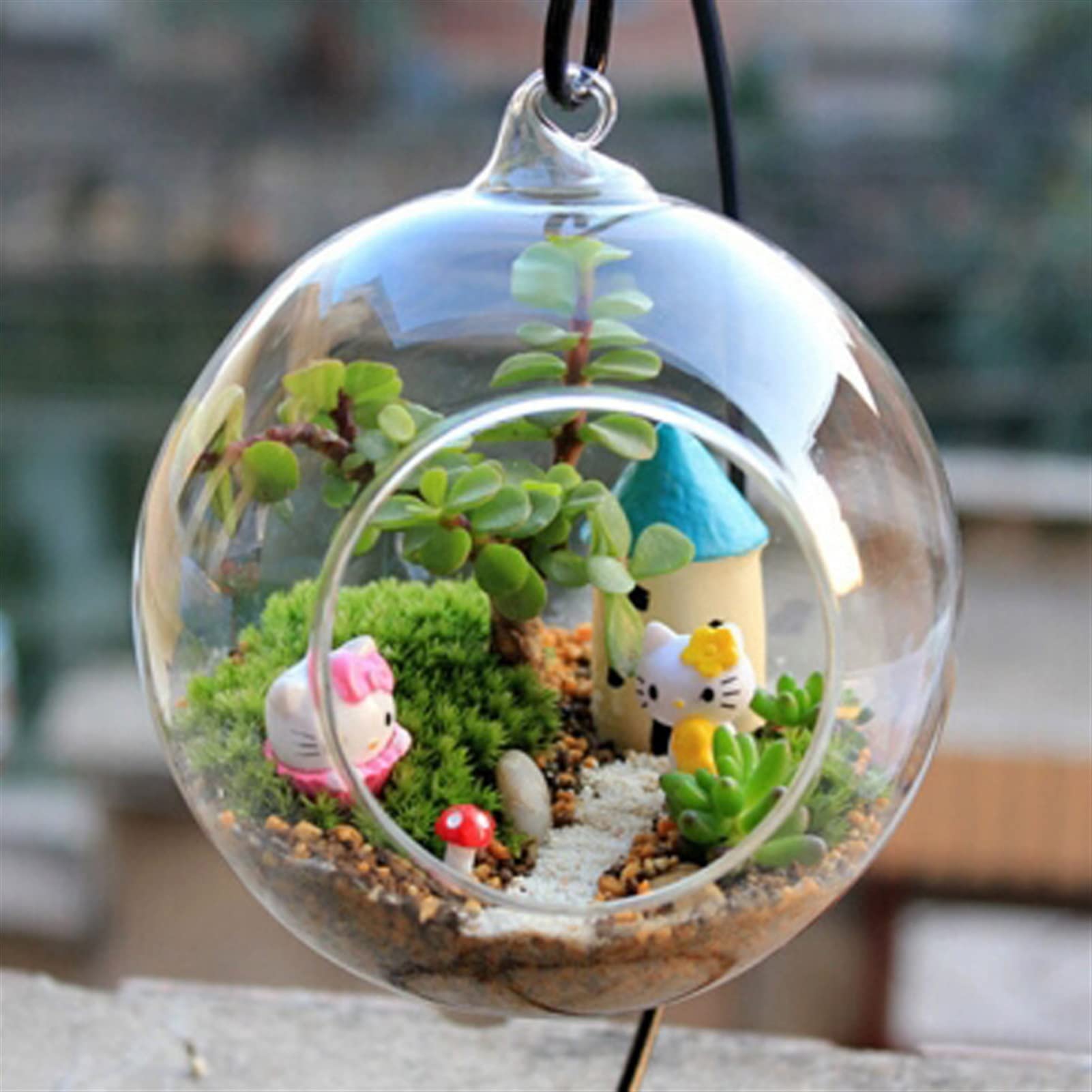 Mini Vase à Essai En Verre Sur Support Bois - Pour Plantes Hydroponiques, Succulentes, Air Plants, Décoration Bureau