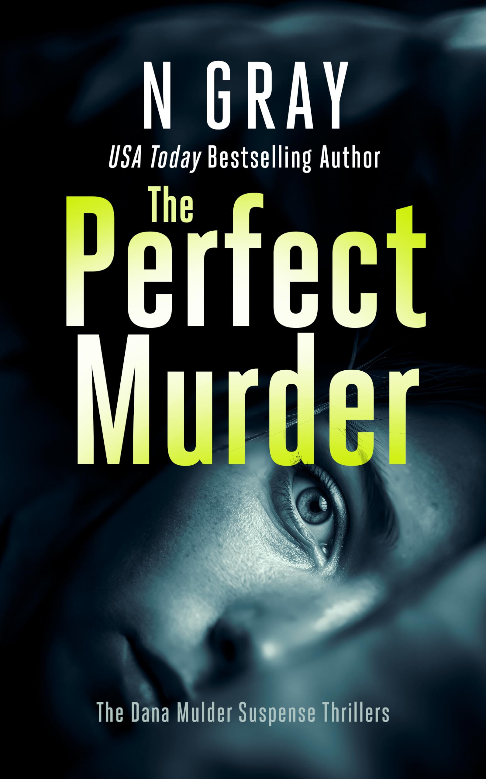 The Perfect Murder (The Dana Mulder Suspense Thriller Series)