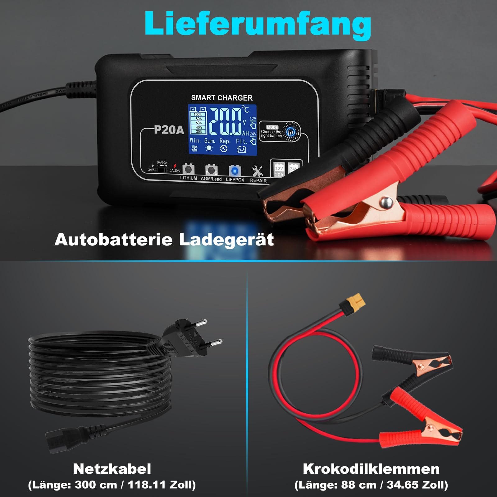20A Autobatterie Ladegerät 12V/24V mit Ladegerät für LiFePO4 & Blei-Säure-Batterien (AGM, Gel, MF, EFB, SLA usw), Erhaltungsladung, Desulfator, LCD-Display für Auto, Motorrad, Boot, Rasenmäher