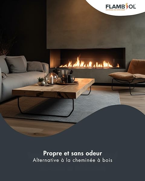 Höfer Chemie Bioéthanol 96,6% Premium 30 x 1 L - pour Cheminée de Table, Cheminée & déco de Jardin - sans Fumée ni suie - A Base de maïs & de Betteraves - 5