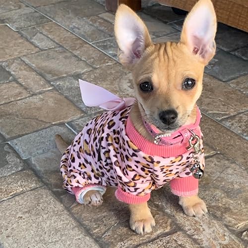 Miniatura 8 de PUPTECK Collar de gato ajustable básico con diamantes brillantes y campanas dobles, para gatito y cachorro pequeño, moda y brillante (XXS collar