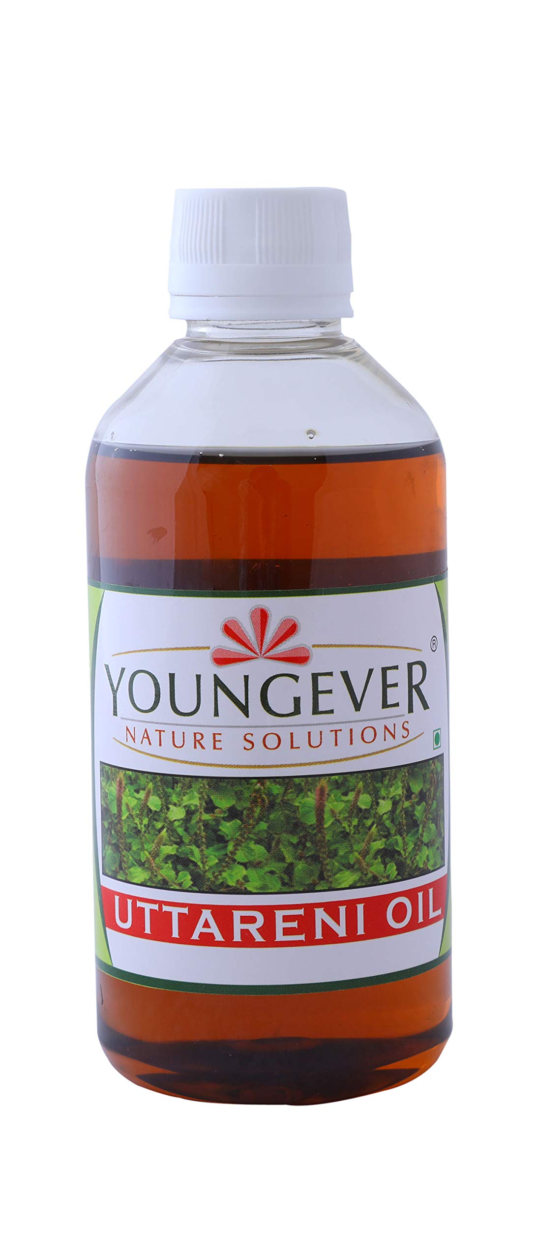 Youngever Nature Solution Uttareni Oil/Tailam- Reduce Excess Body Fat & Prevents Skin Diseases (225 ml) (B08L9RMV62) Amazon Price History, Amazon Price Tracker