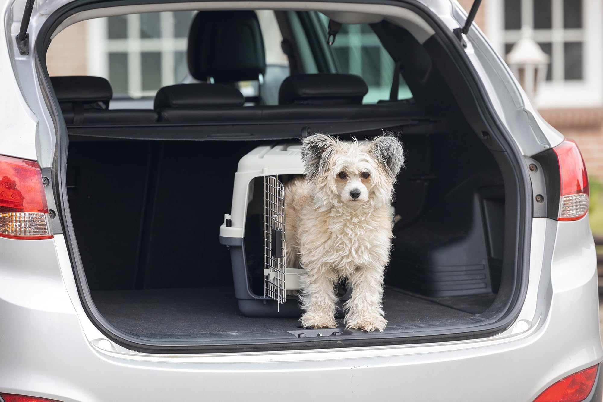Karlie 513771 Nomad - Caja de avión para Perro y Gato, 62 x 40 x 41 cm (S)