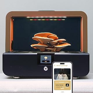 Smart Mushroom Growing Kit – Harvest in 7 Days | Grow Lion’s Mane, Reishi & Rare Mushrooms You Can't Buy Anywhere Else | AI-Powered Humidity, O2 and Lighting + Timelapse Camera | Blue Copper