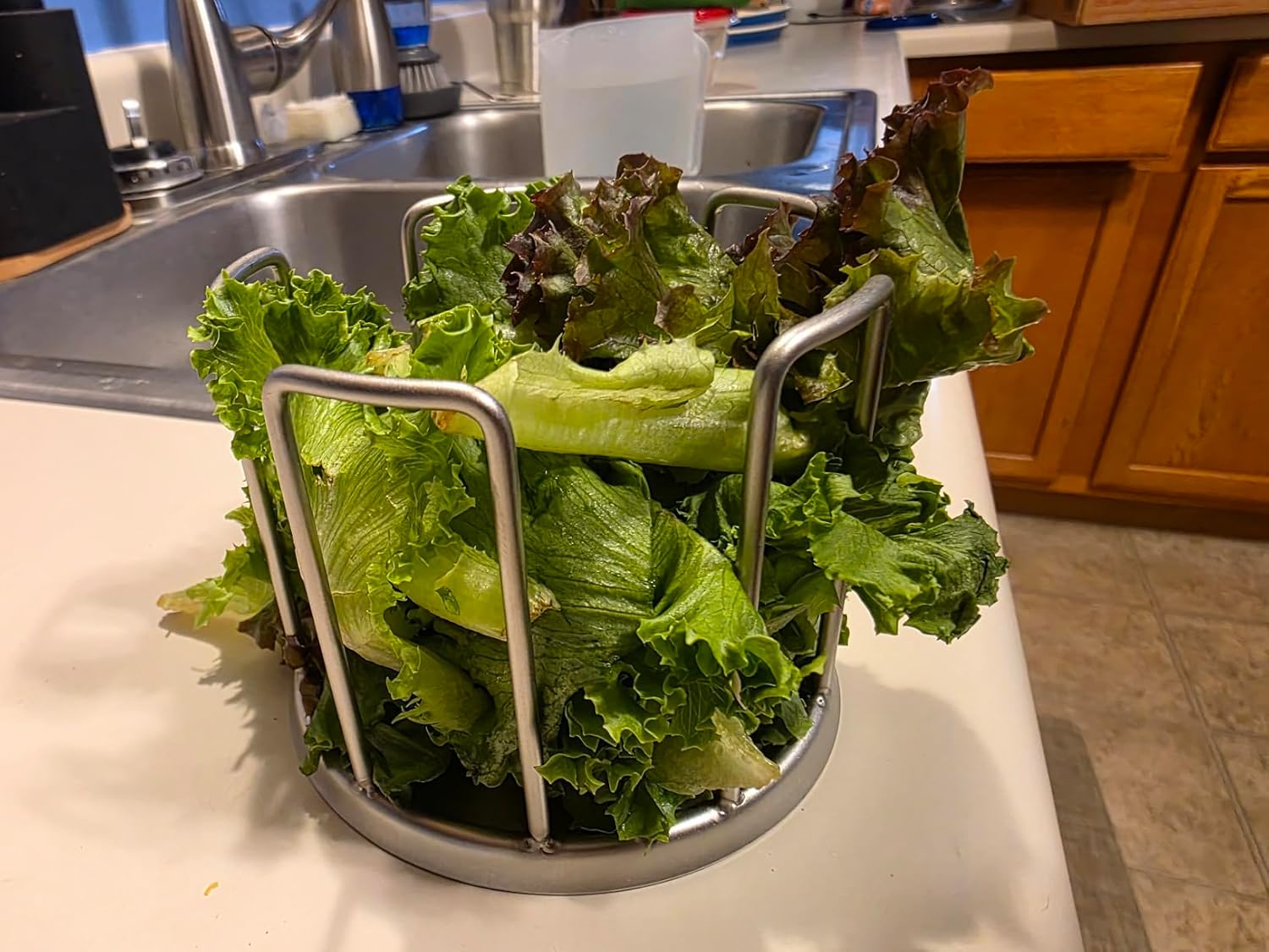 Tortoise Feeding Bowl, Stainless Steel Anti-Climb Reptile Food Dish, No-Mess Feeder for Tortoises, Box Turtles，Works to Keep Food in Place