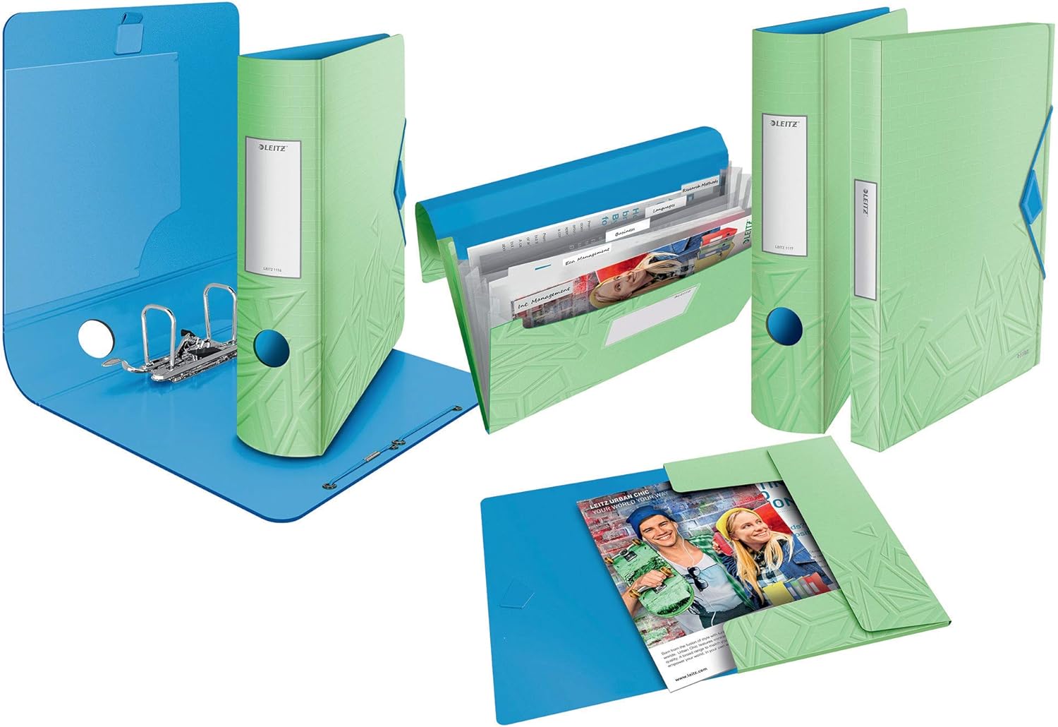 Leitz A4 Expanding File with 5 Compartments, Elastic Band Fastener, 250 Sheet Capacity, Green, Urban Chic Range, 39970050