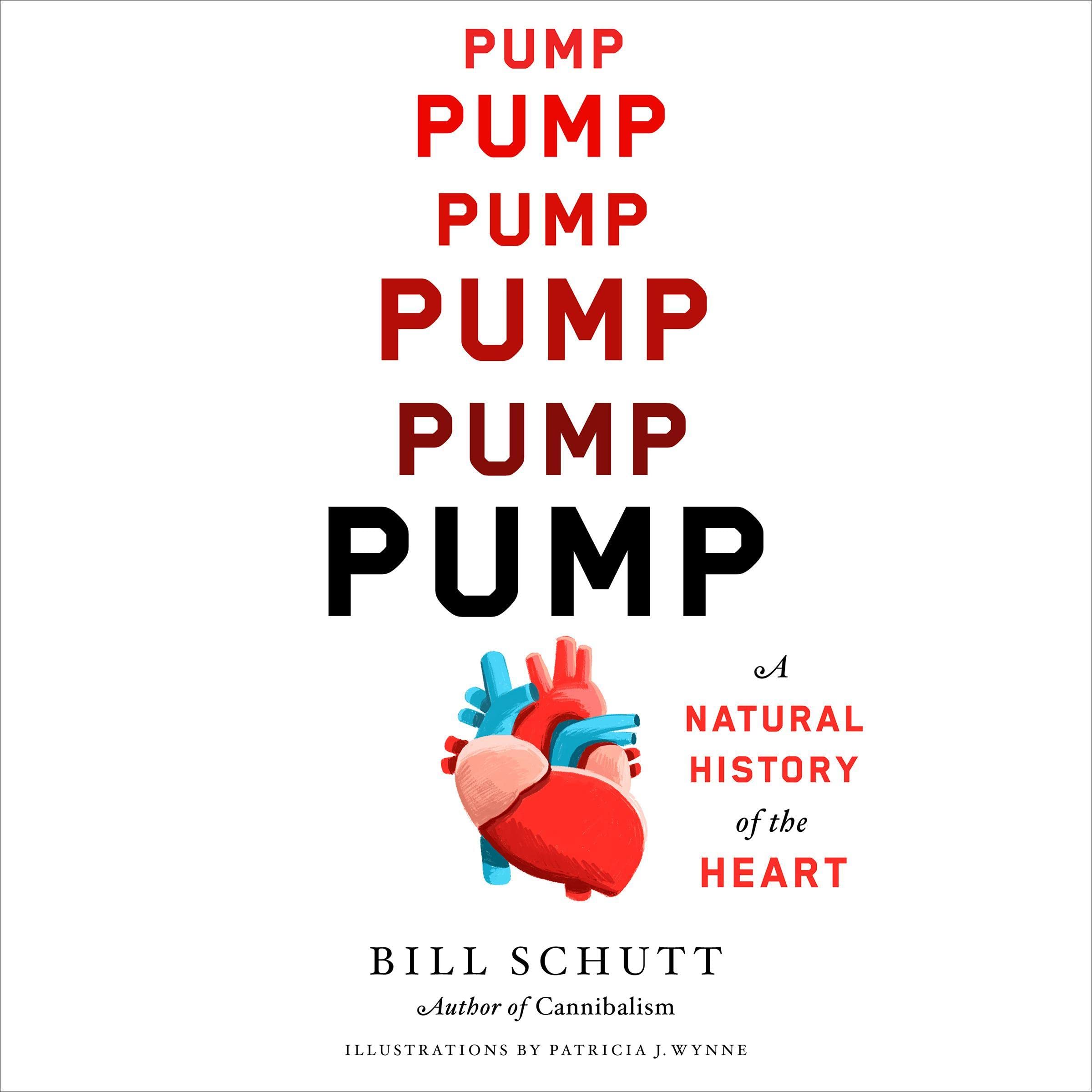 Cover art for Pump