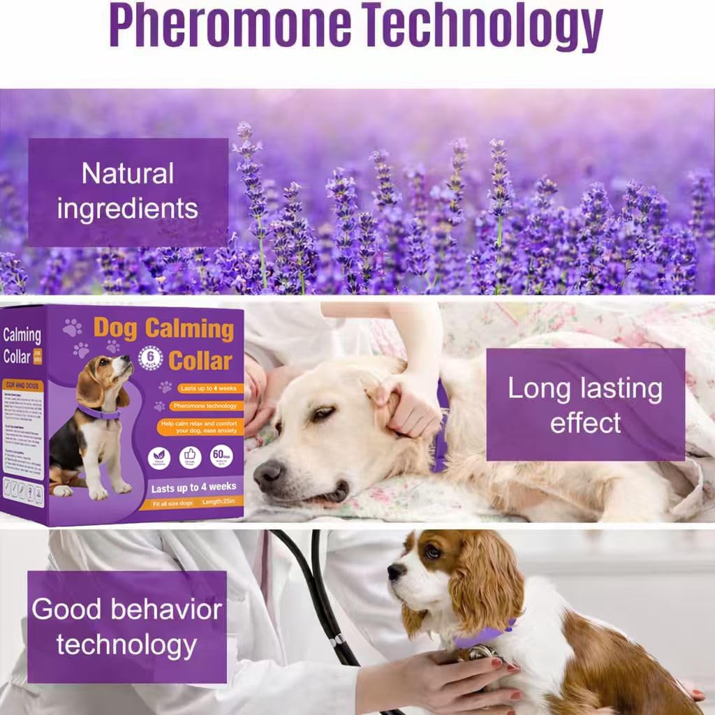 Calming Collar for Dogs, 6 Packs Dog Pheromone Calm Collars to Relieve Anxiety Bad Behavior, Long Lasting Pheromone for 60 Days, 25 Inches Adjustable for Small Medium and Large Dog (Pruple)