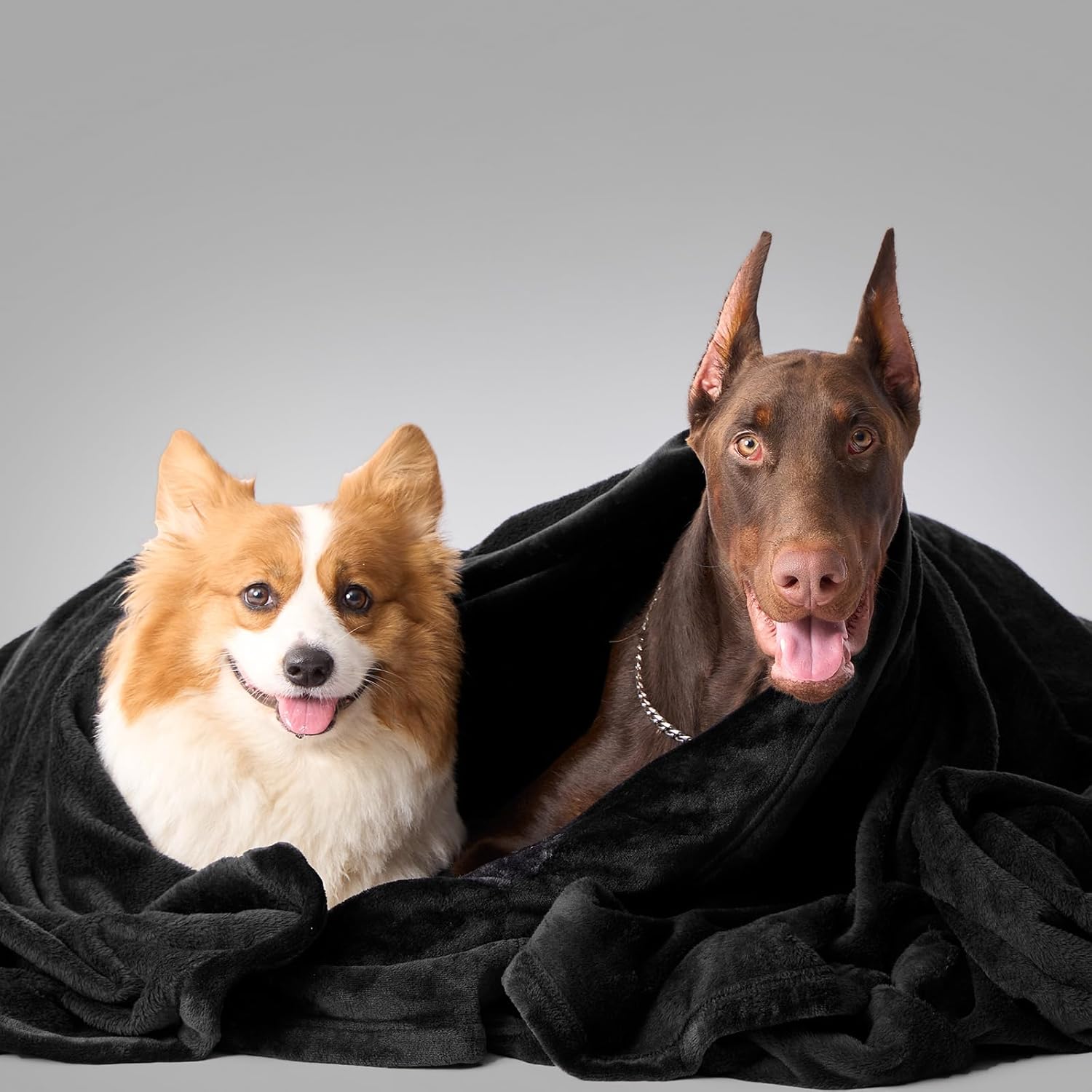 Hansleep Fleece Black King Blanket, Super Soft Flannel Fuzzy Plush Cozy Blanket for All Seasons, Black, King 90x108 Inches - Image 5