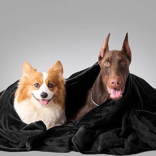 Vista 203 de Hansleep Manta de vellón tamaño individual, color verde azulado, suave y acogedora manta de franela mullida para cama, sofá, viajes, campamento