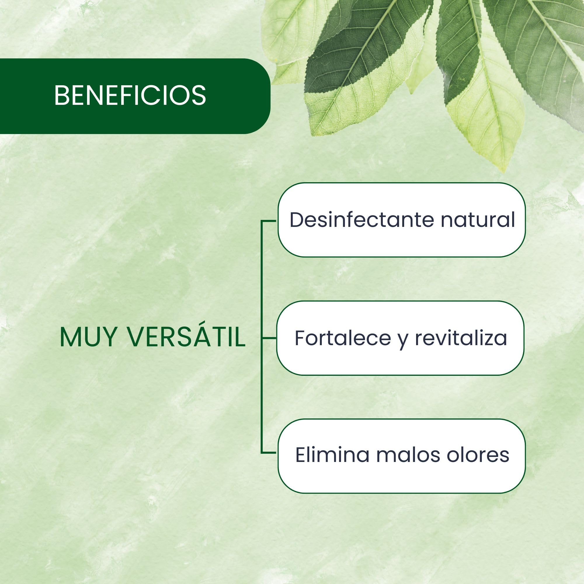 Plantawa Vinagre de Alcohol Concentrado 2 litros | Solución Natural para el Cuidado de Superficies | Acción Eficaz y Seguro | Desincrustante Calcáreo, Sin Residuo.
